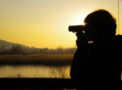 CORSO BIRDWATCHING - ALLA SCOPERTA DELL\'AVIFAUNA LOCALE