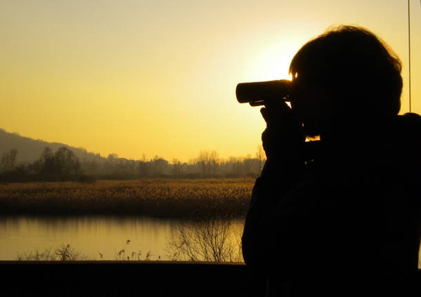 CORSO BIRDWATCHING - ALLA SCOPERTA DELL\'AVIFAUNA LOCALE