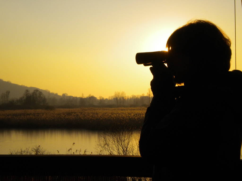 incontri birdwatching