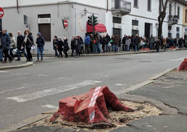 Grande partecipazione per la manifestazione contro il taglio dei bagolari