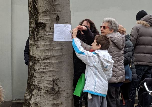 Grande partecipazione per la manifestazione contro il taglio dei bagolari