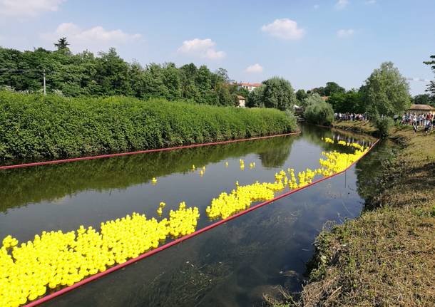 fiume olona magiche serate in valle 2018