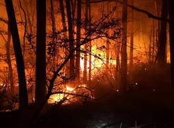 Incendio nei boschi di Vergiate