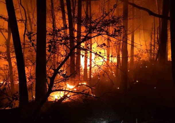 Incendio nei boschi di Vergiate