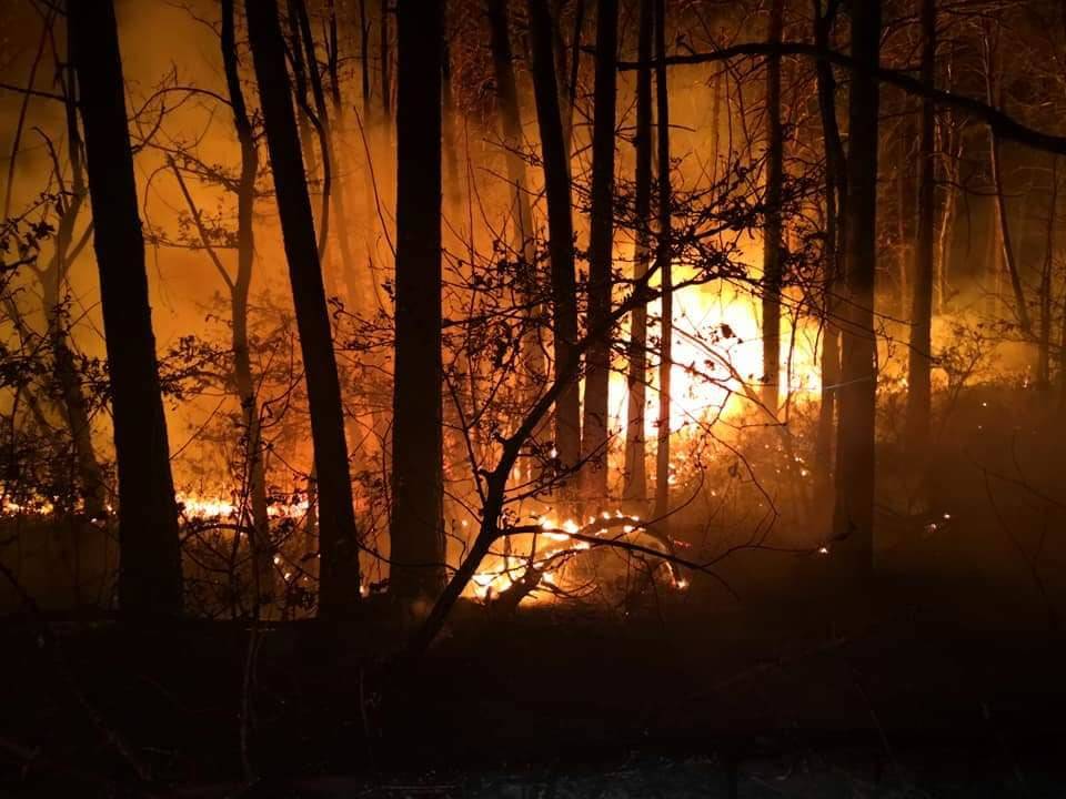 Incendio nei boschi di Vergiate