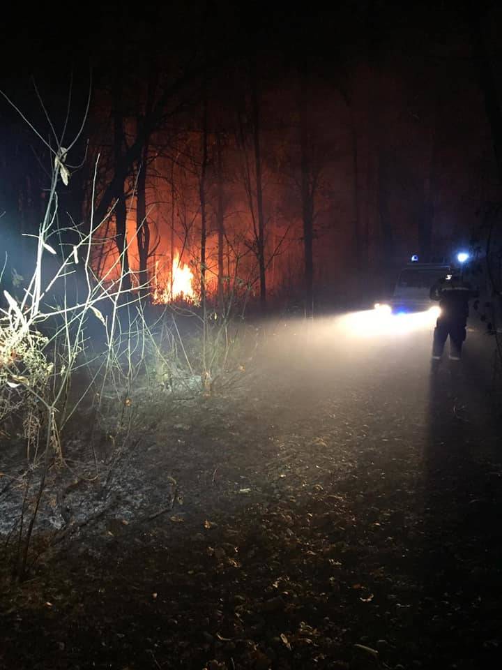 Incendio nei boschi di Vergiate