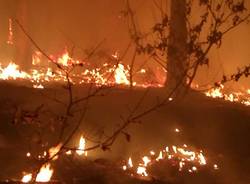 Incendio nei boschi di Vergiate