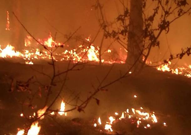 Incendio nei boschi di Vergiate