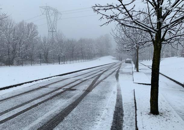 La neve del primo febbraio 2019