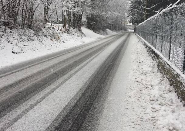 La neve del primo febbraio 2019