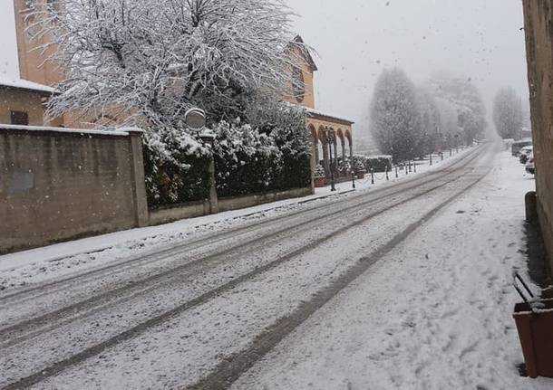 La neve del primo febbraio 2019