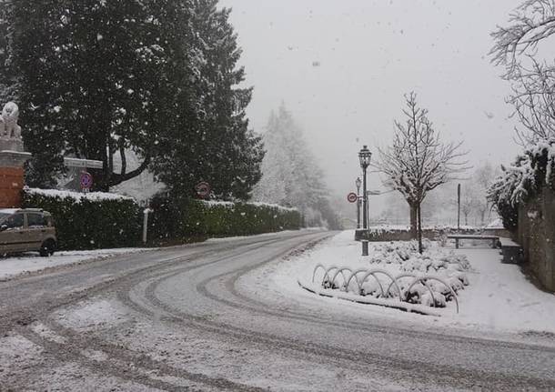 La neve del primo febbraio 2019