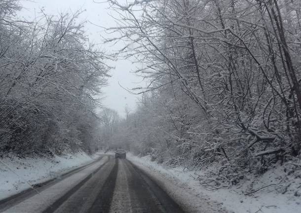 La neve del primo febbraio 2019