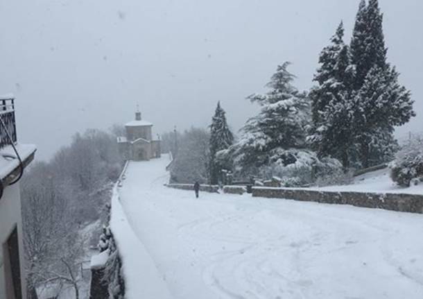 La neve del primo febbraio 2019