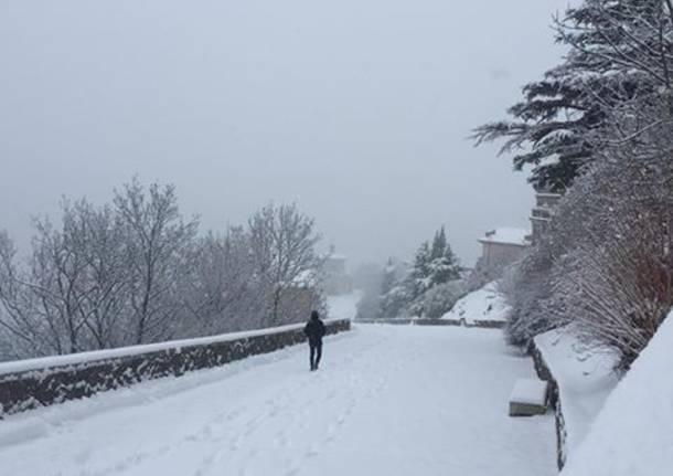 La neve del primo febbraio 2019