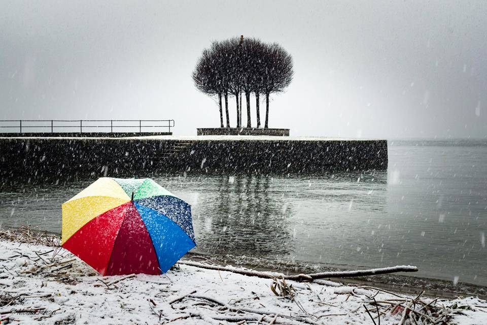 La neve del primo febbraio 2019