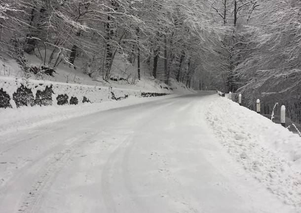 La neve del primo febbraio 2019