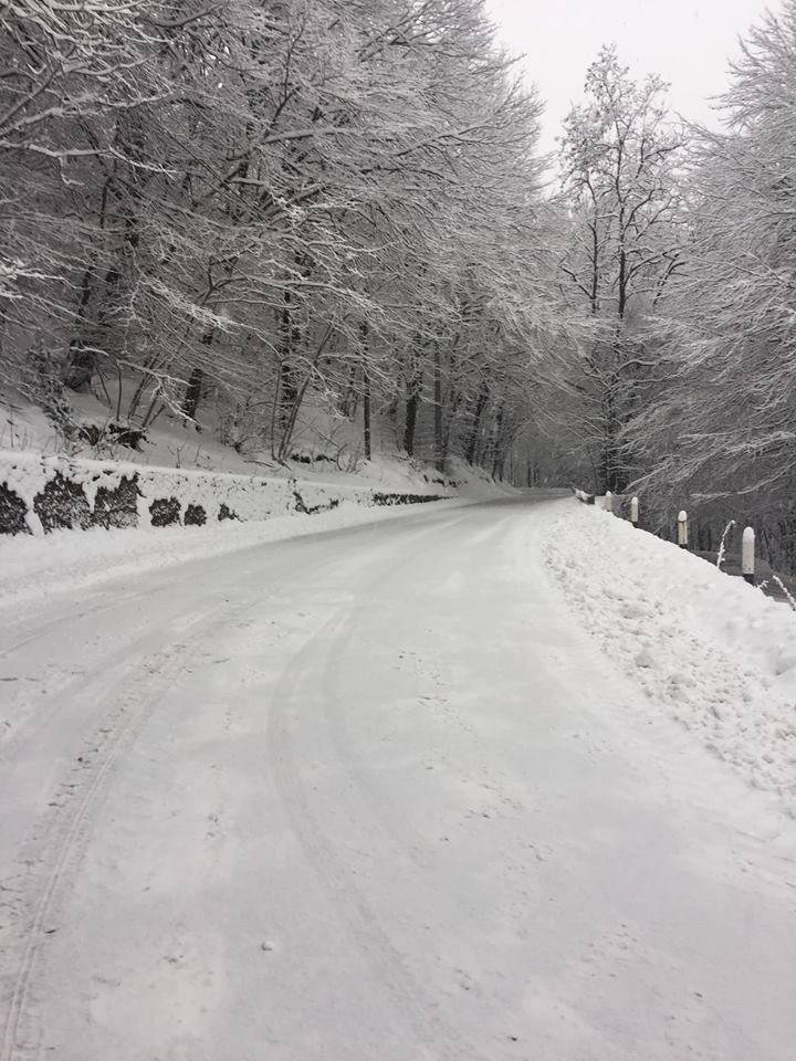 La neve del primo febbraio 2019