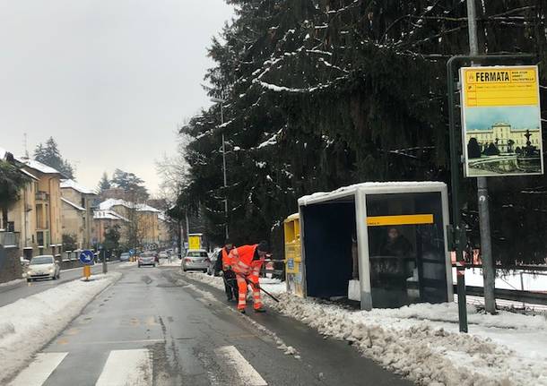La neve del primo febbraio 2019