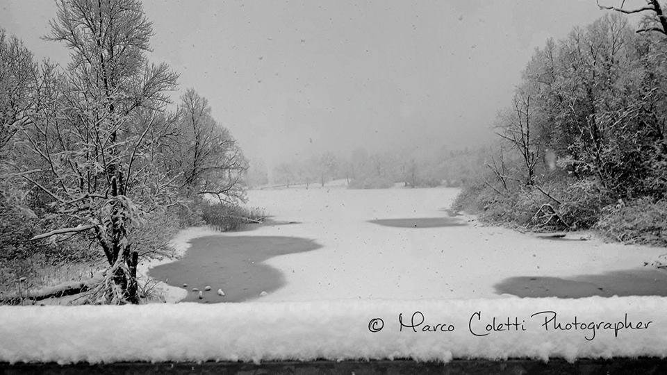 neve 1 febbraio 2019