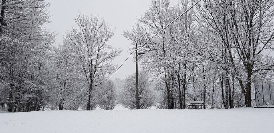 neve 1 febbraio 2019