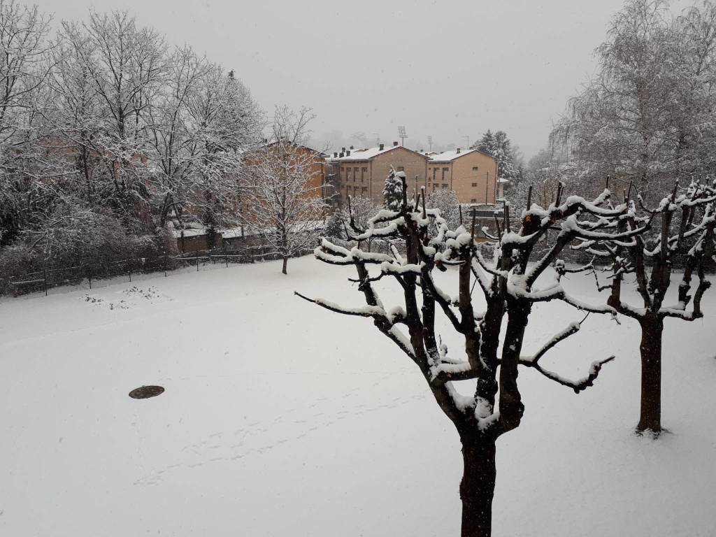 neve