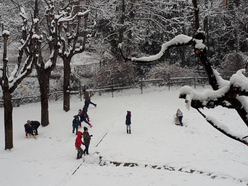 neve