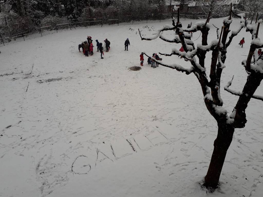 neve