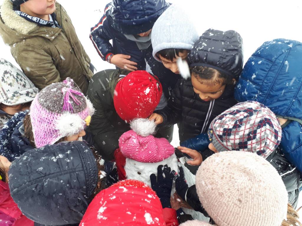 neve