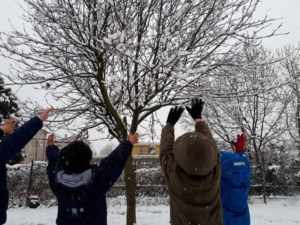 neve