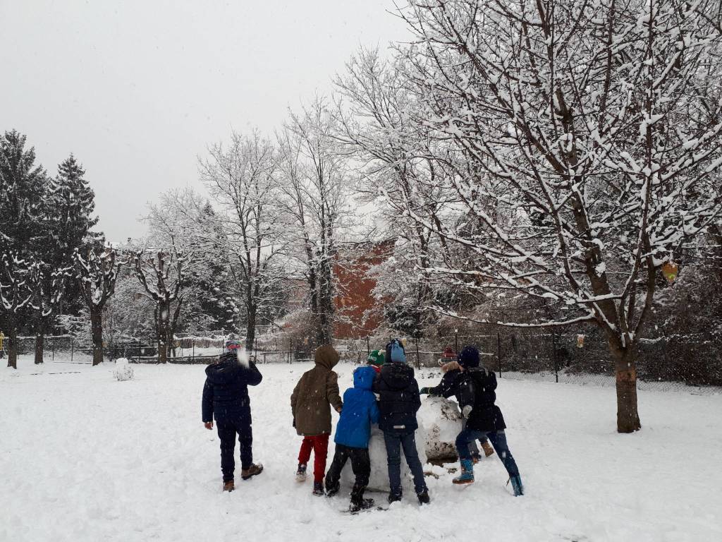 neve