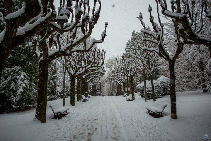 neve varese 