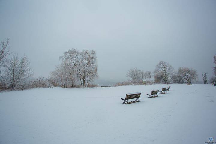 neve varese 