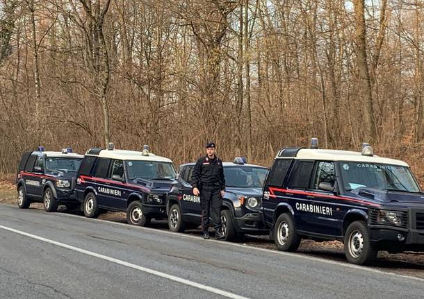 operazione spaccio nei boschi carabinieri castello cabiaglio