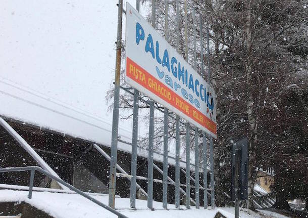 palaghiaccio varese palalbani nevicata 2019