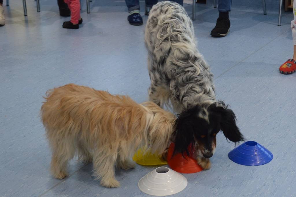 Pet Therapy al Del Ponte