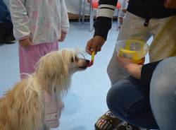 Pet Therapy al Del Ponte