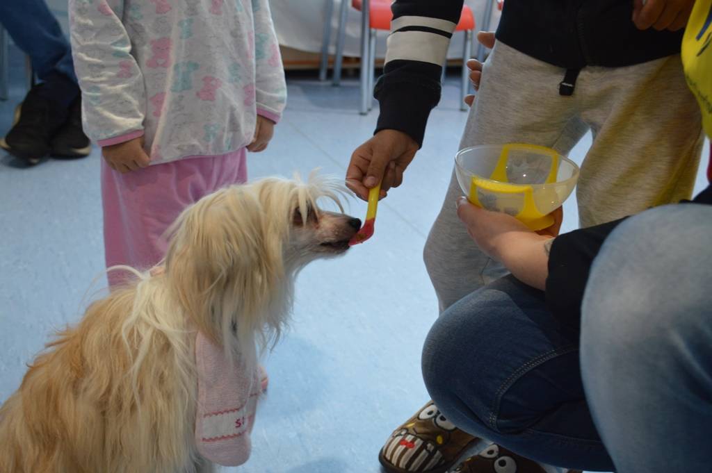 Pet Therapy al Del Ponte