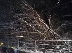 Protezione civile del Piambello all'opera per l'emergenza neve