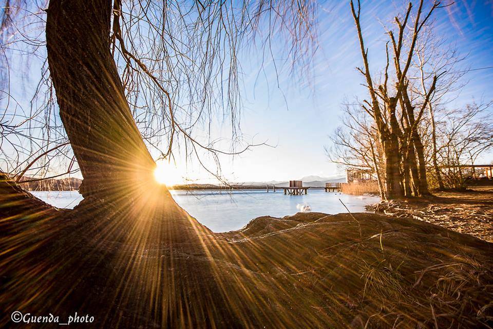 Sole - foto di Guendalina Marzetta