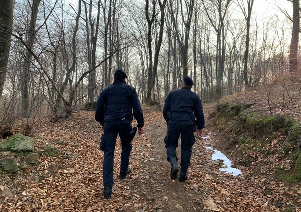 spaccio nei boschi carabinieri luino