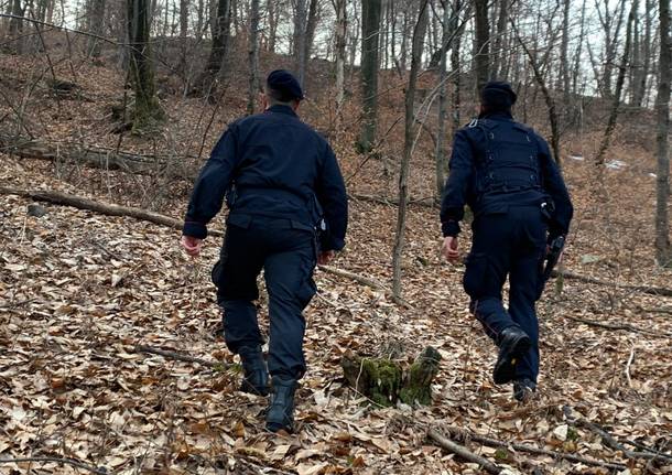 spaccio nei boschi carabinieri luino