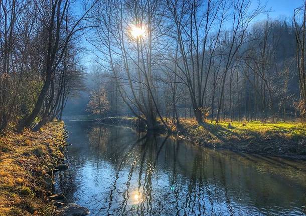 valle olona catalin bocicu