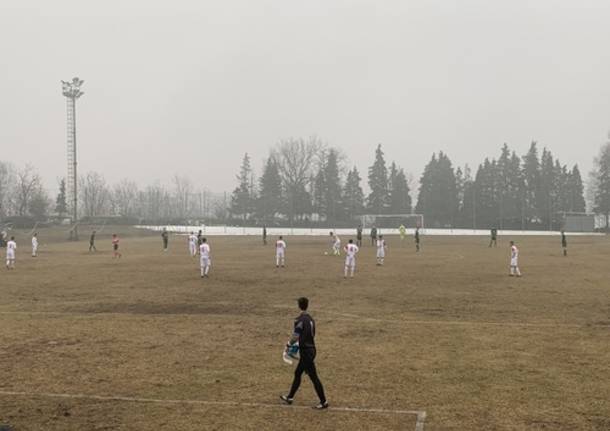 varese castanese viggiù