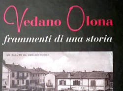 Vedano Olona varie