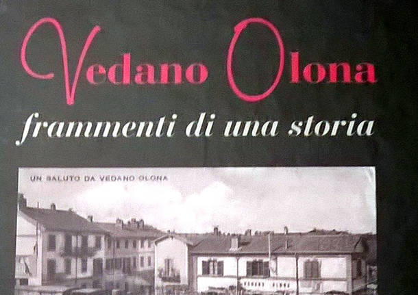 Vedano Olona varie