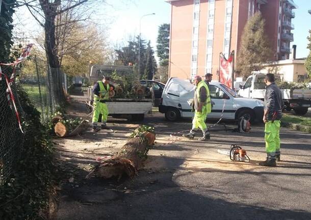 Forte vento: danni nel Rhodense
