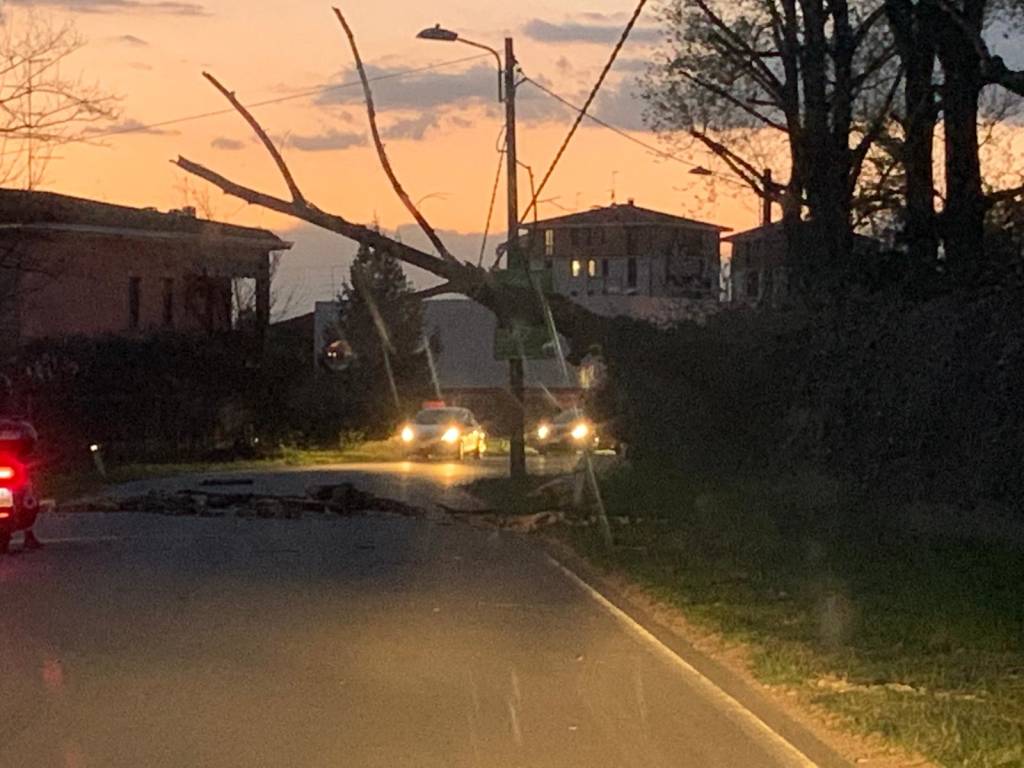 Albero caduto cassano magnago 