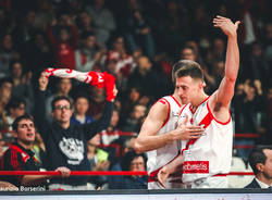 basket pallacanestro varese