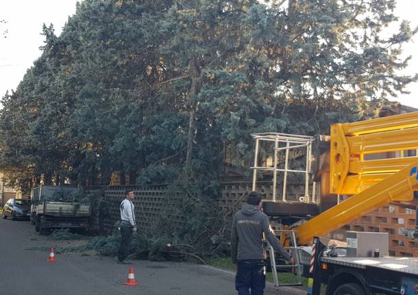 Maltempo: danni del vento tra Saronno e Caronno